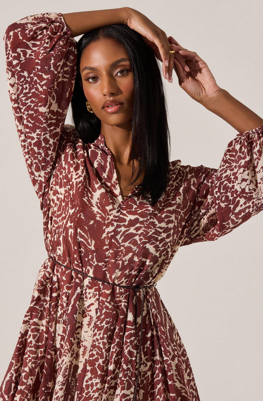 Marisela Printed Dress