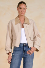 Misty Cropped Trench